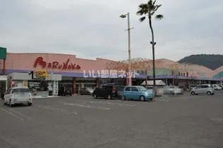 飯野ハイツ 41号の周辺