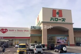 飯野ハイツ 41号の周辺