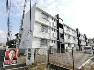 サザンクロスの画像