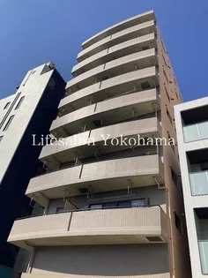 アムールの画像