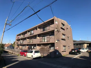 エクセレント藤田Iの画像