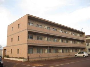 プレムはまなすの画像