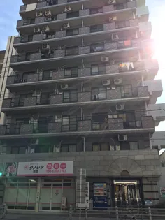 メイウール姫里の画像