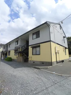 ベッテルの画像