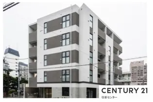 ステラフォートの画像