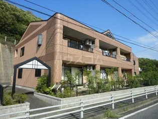 シャロームの画像