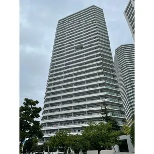 コットンハーバータワーズシーウエストの画像