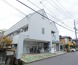 カステロレヴィーPARTIIの画像