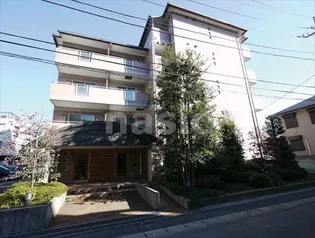 ピアチェーレ向ヶ丘遊園【3階】の外観