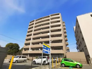 フランフォーレしらさぎの画像