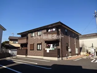 サニークレインの画像