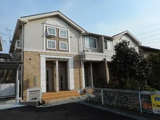 BRILLO JARDINの画像