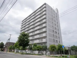 シャロームの画像