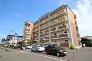 サン プラシードの画像