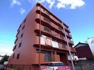 グリーントマトの画像