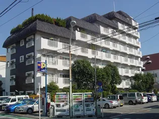 ヴィラウエルスの画像