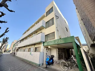 ハイムユリーの画像