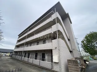 アイリスの画像