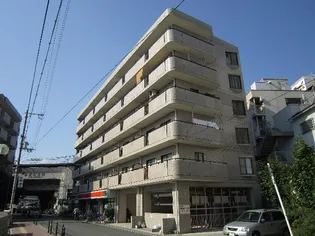 コートレックスの画像