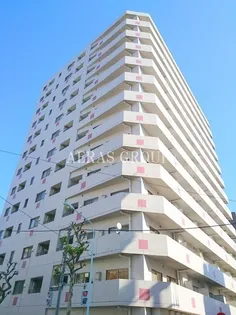 銀座レジデンス伍番館【11階】の外観