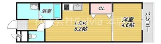 フジパレス石津川ノース【3階】の間取り
