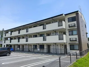 白蔵 IVの画像