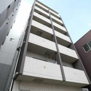 ボヌールT Yの画像