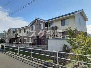 フェリスの画像