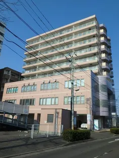 宮城県仙台市宮城野区高砂1【マンション】の外観