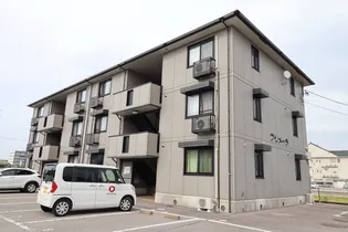 プリメーラの画像