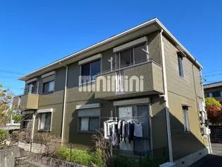 メ ステッソ Bの画像