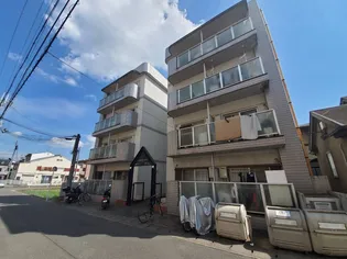 コスモスNO 2の画像