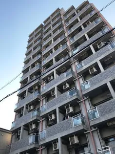 セレストパレの画像