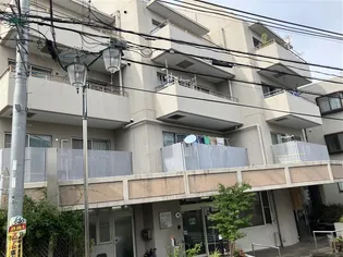 カーサピノの画像