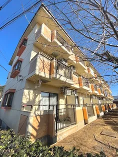 アイビス小絹Aの画像