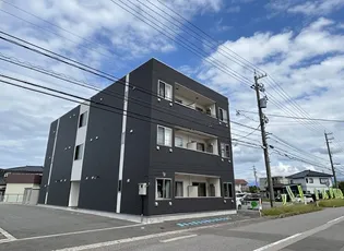 セレニティ藤木の画像