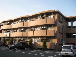 ベル フラワーの画像