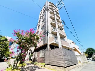 ステラ仙台坂【7階】の外観