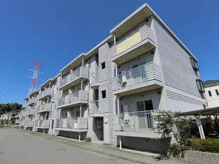 第17パールメゾン平川の画像