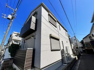 プリムローズの画像