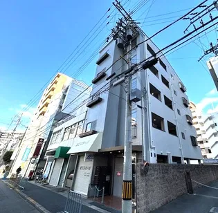 オリーヴの画像