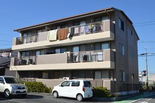 ロイヤルパレス湯川の画像