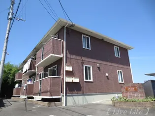 N COURTの画像