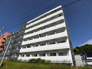 シルフィー木原の画像