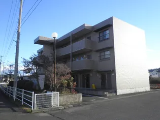 メープルガーデンパレスの画像