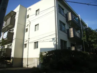 テラスチャオの画像