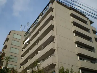大阪府豊中市柴原町2【マンション】の外観