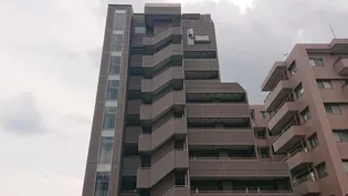 新江古田ST HOUSE【8階】の外観