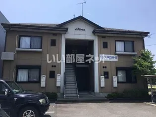 フローリッシュの画像