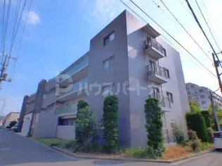 ヴァレンティアの画像